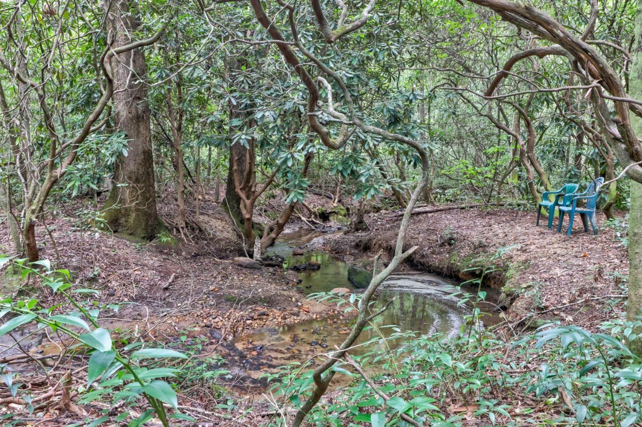 Sautee NacoocheeFour Cubs In The Creek别墅 外观 照片