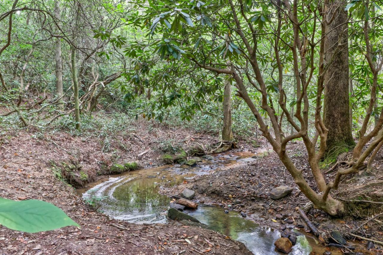 Sautee NacoocheeFour Cubs In The Creek别墅 外观 照片